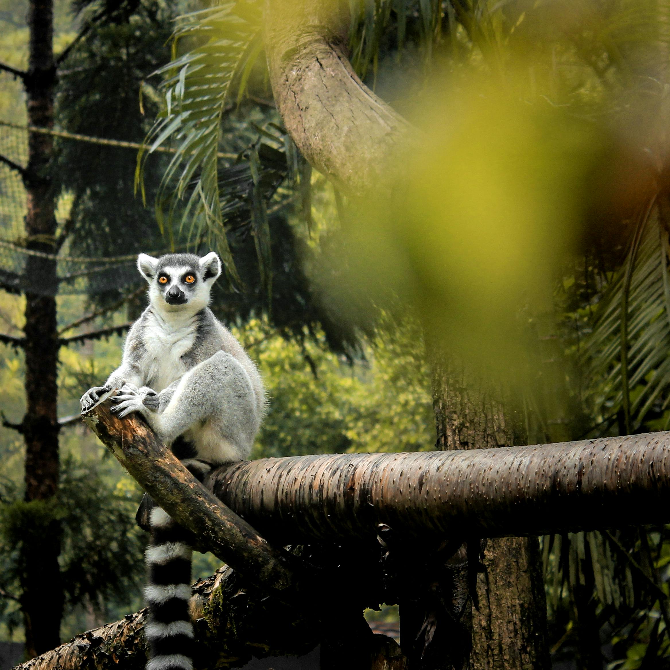 Experiencias en Madagascar